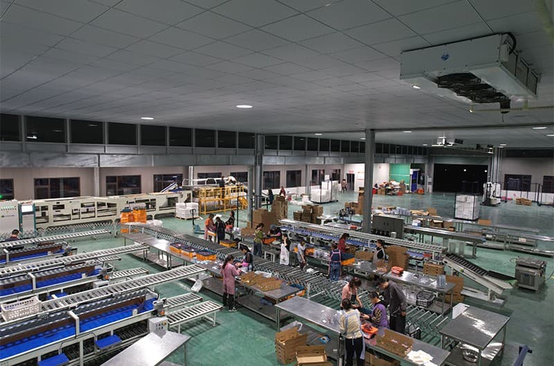 images/1669883758070plum sorter.jpg